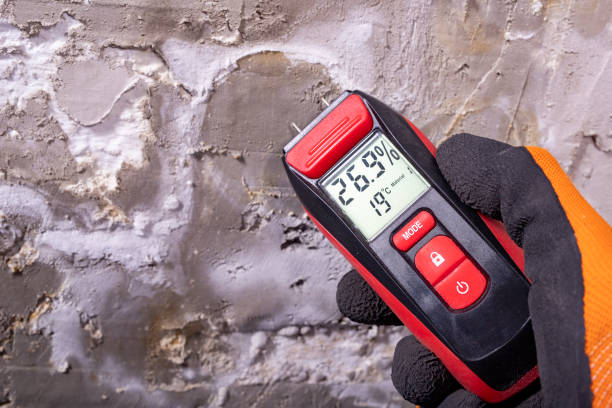 Best Crawl Space Mold Removal  in Loveland, CO
