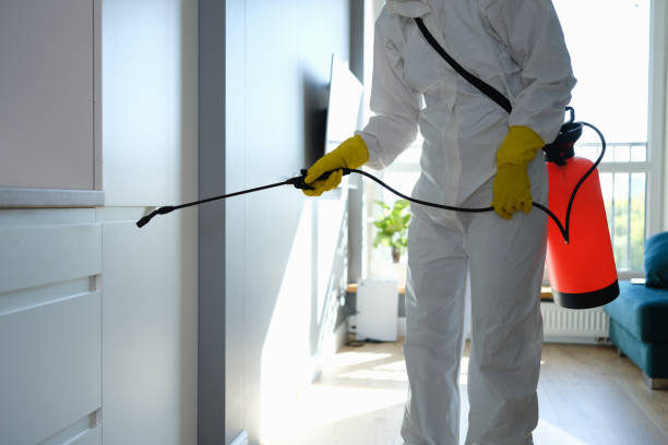 Best Mold Testing  in Loveland, CO