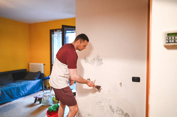 Best Mold Damage Repair  in Loveland, CO